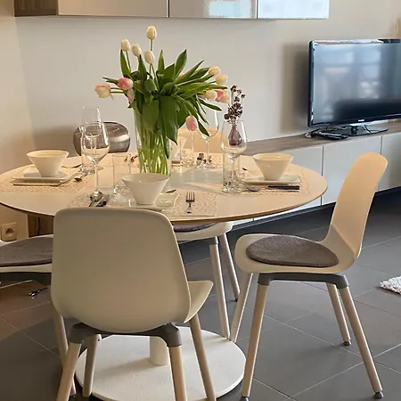 Beachday I - Opkuis Inbegrepen In De Prijs - Wandelafstand * Nieuwpoort