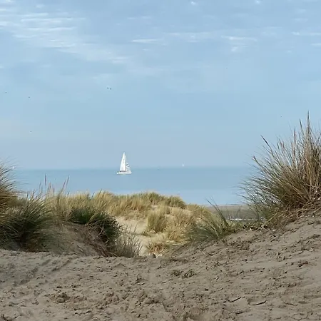 Appartement Beachday I - Opkuis Inbegrepen In De Prijs - Wandelafstand *